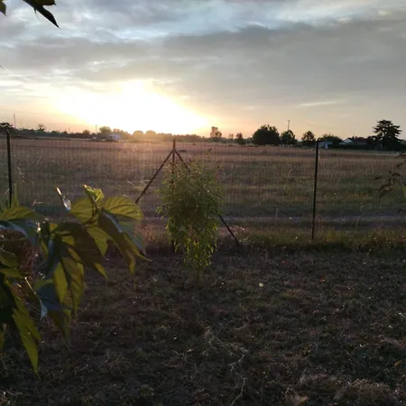 Dans Le Vignoble Gallacois Holiday home Gaillac