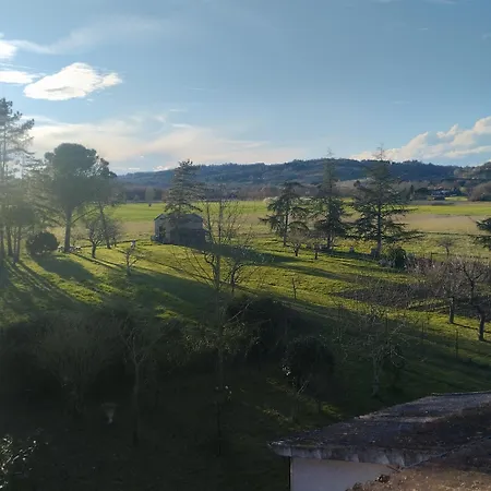 Dans Le Vignoble Gallacois *