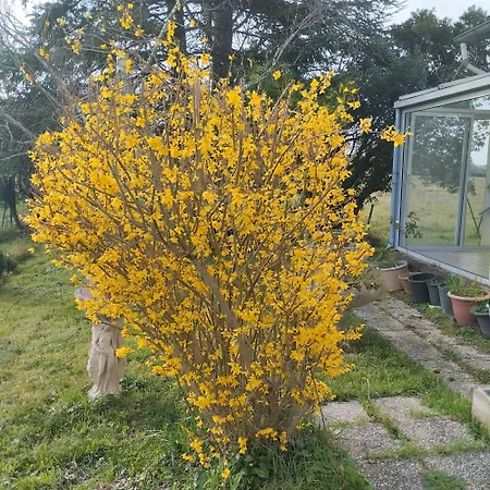 Dans Le Vignoble Gallacois *